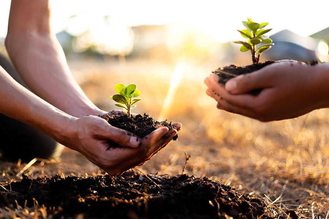 Indigenous Leadership for Sustainability